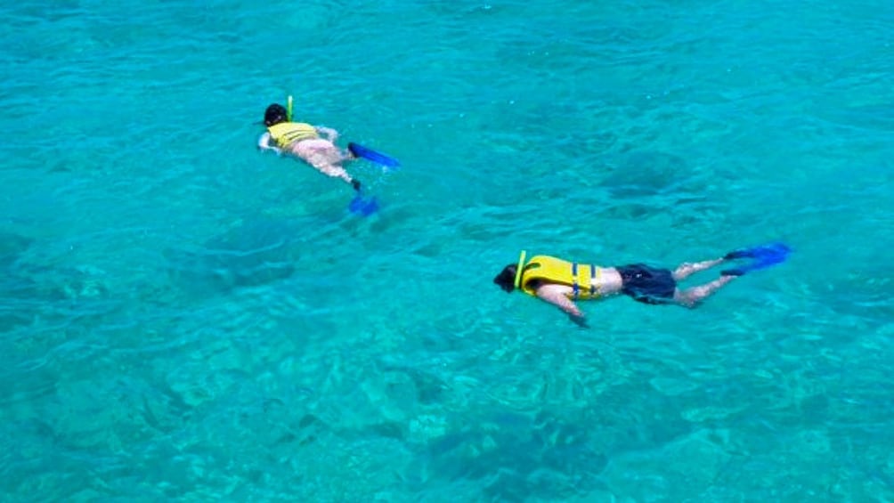 Snorkelers explore shallow waters in Mexico