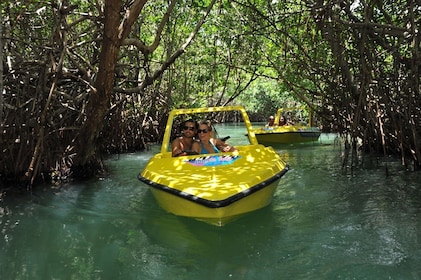 Motorboottour door de jungle en snorkelen