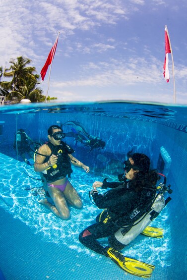 Discover Scuba Diving in Cancun