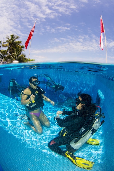 Discover Scuba Diving in Cancun