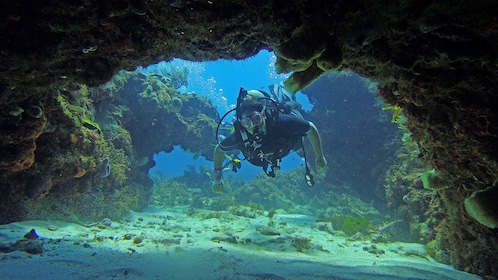 Discover Scuba Diving in Cancun