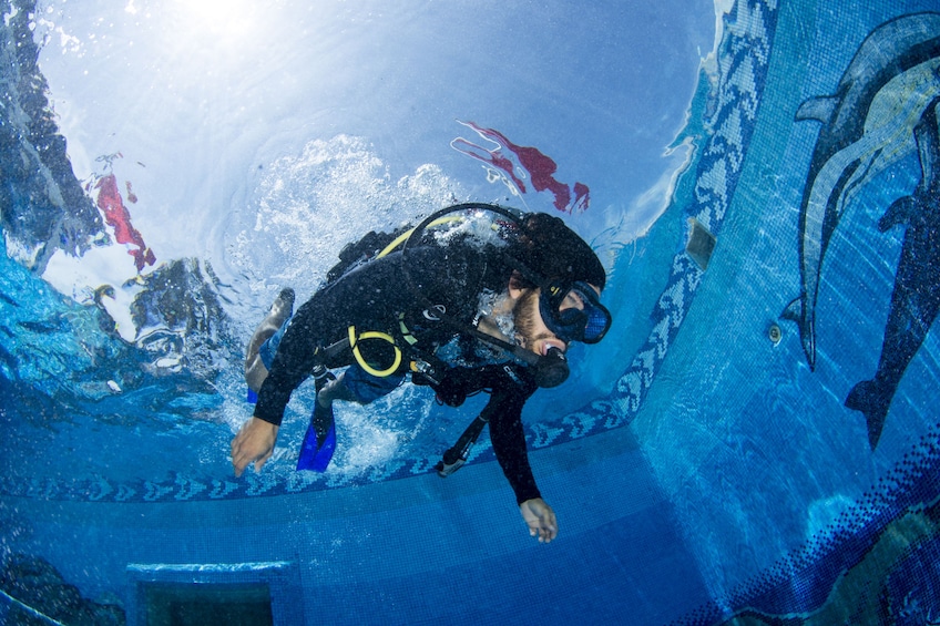 Discover Scuba Diving