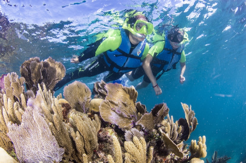 MUSA Underwater Museum Snorkeling Tour