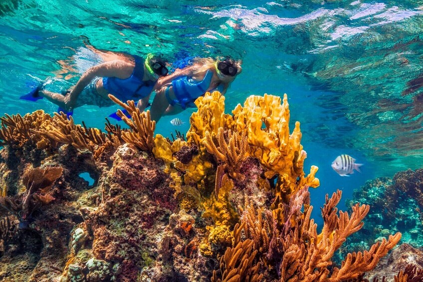 MUSA Underwater Museum Snorkeling Tour