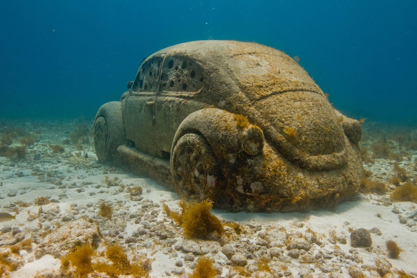 MUSA Underwater Museum Snorkeling Tour