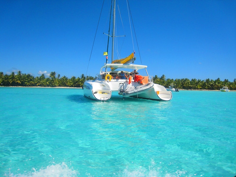 Full-Day Saona Island Tour with Open Bar & Lunch from Punta Cana