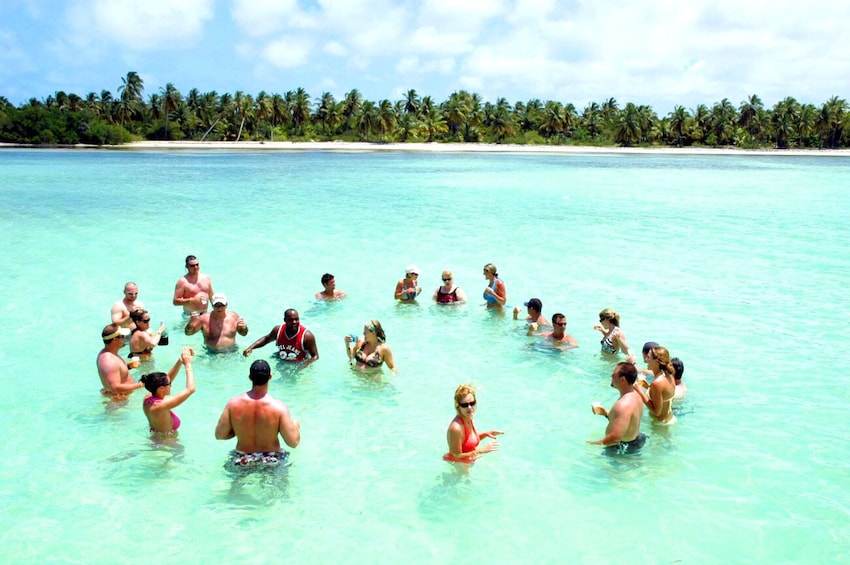Full-Day Saona Island Tour with Open Bar & Lunch from Punta Cana