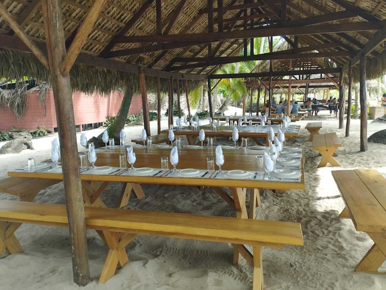 Full-Day Saona Island Tour with Open Bar & Lunch from Punta Cana