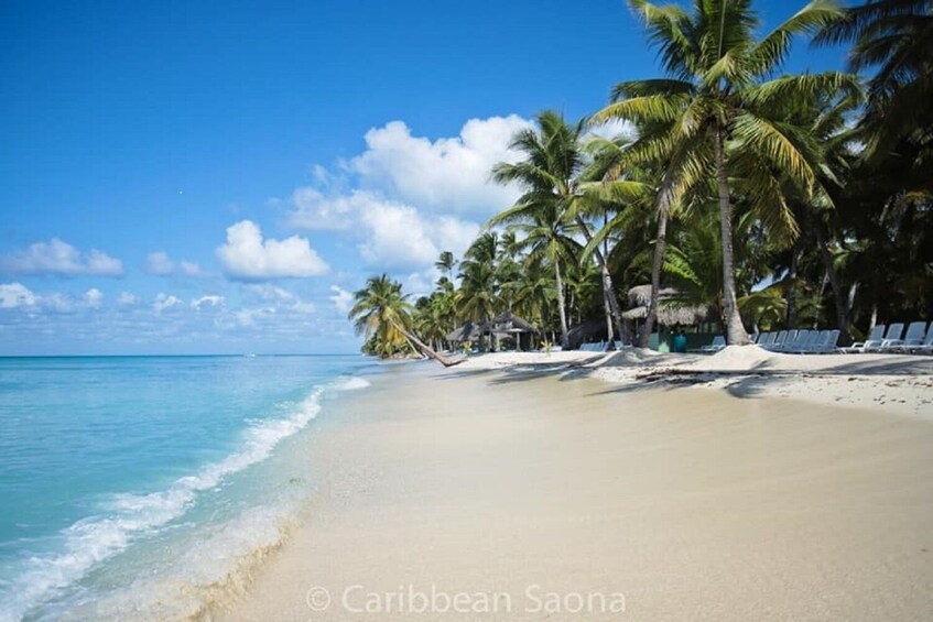 Saona Island Tour