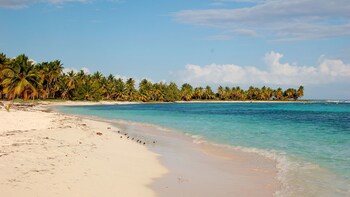 Saona Island Tour