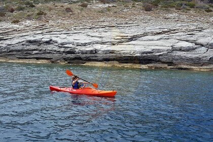 Rent a single sea kayak for 2 hours