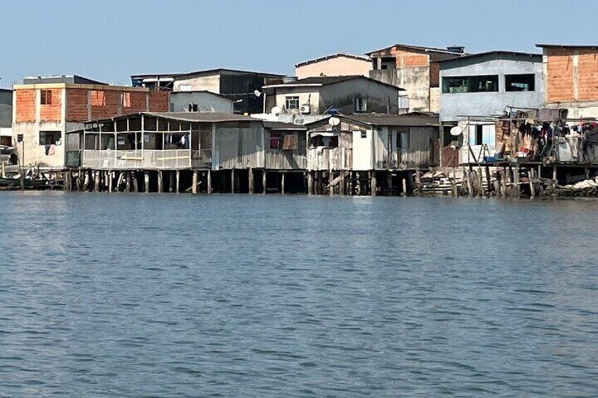 Birdwatching Eco boat tour in the mango – Fauna and Flora