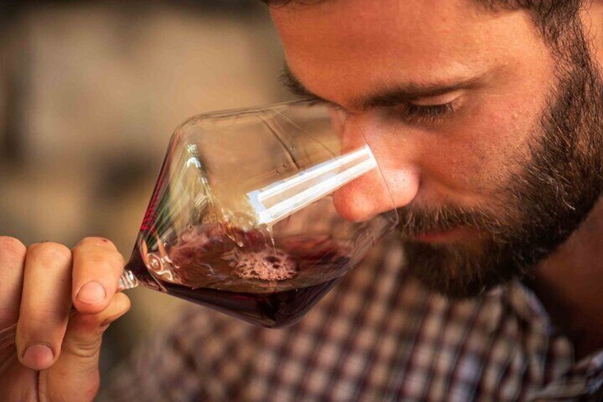 Skradin: Wine Tasting in a local family winery