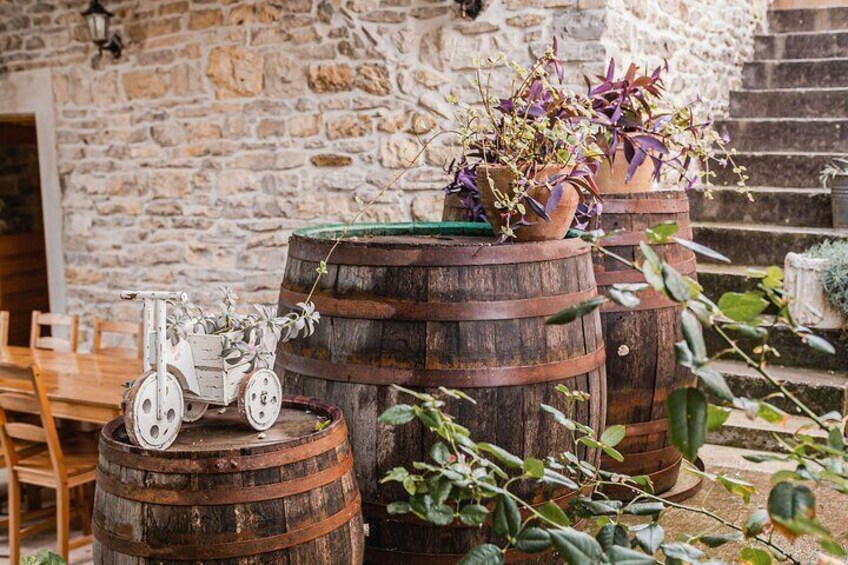 Skradin: Wine Tasting in a local family winery