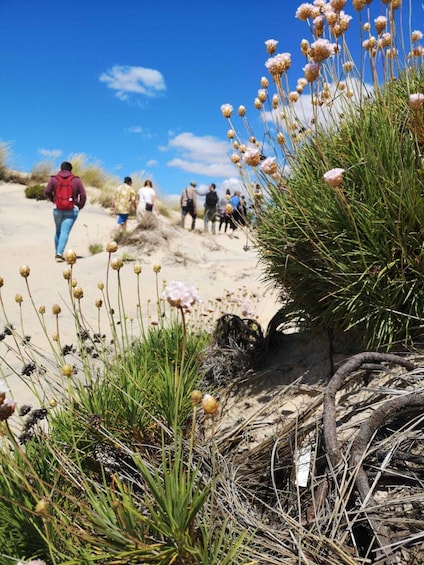 Day Trip to Doñana from Seville (private)