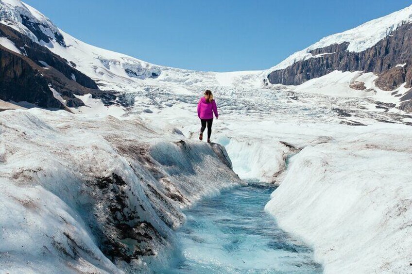 Day Trip Columbia Icefield, Parkway, Bow Lake from Calgary, Banff