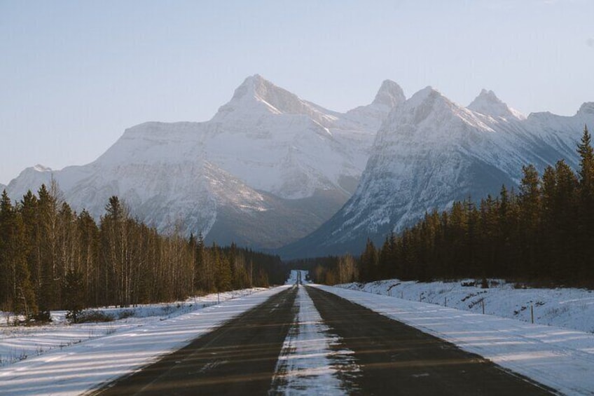 Day Trip Columbia Icefield, Parkway, Bow Lake from Calgary, Banff