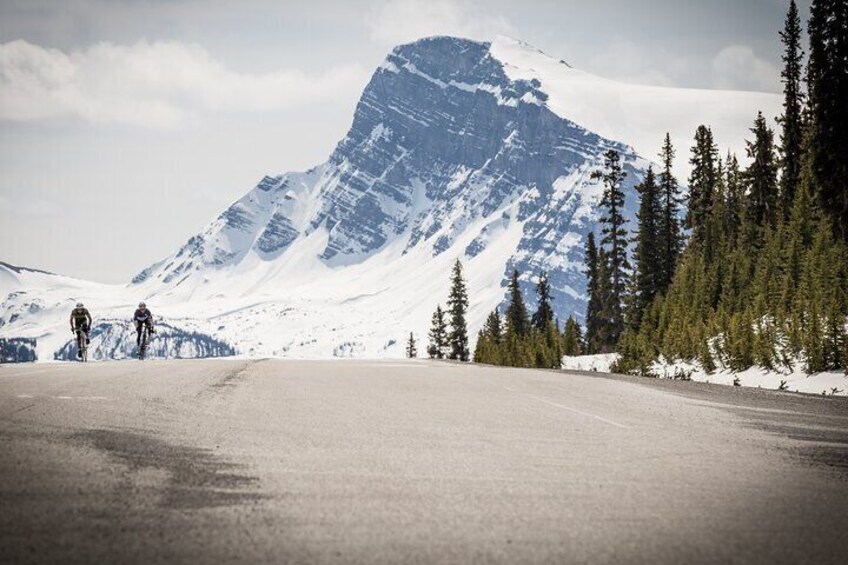 Day Trip Columbia Icefield, Parkway, Bow Lake from Calgary, Banff