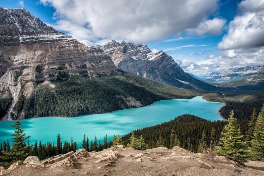 Day Trip Columbia Icefield, Parkway, Bow Lake from Calgary, Banff