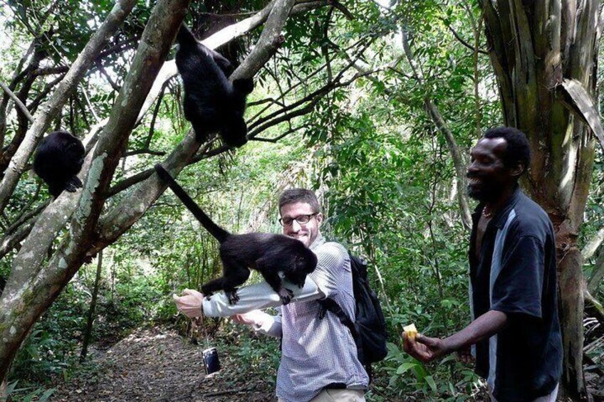 Private Tour Altun Ha Cave tubing and Baboon sanctuary from Belize City