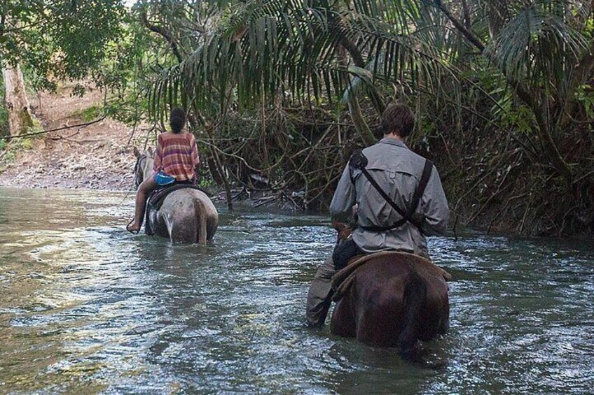Private Tour: Xunantunich and Horseback riding from Belize city