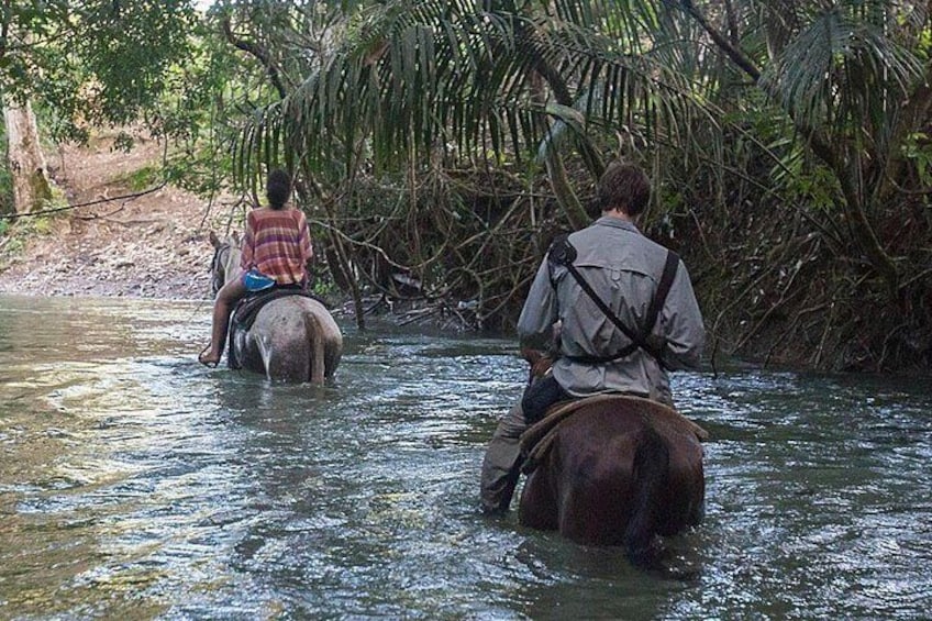 Private Tour: Xunantunich and Horseback riding from Belize city