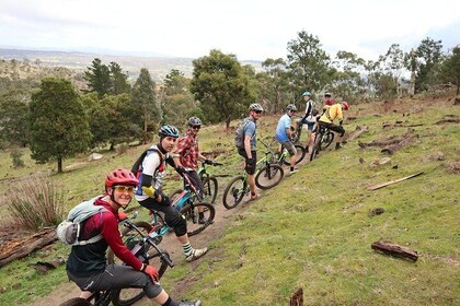 Mountain Bike Day Tour, 2 steder, 4 timer ridning, Holgates Brewery frokost