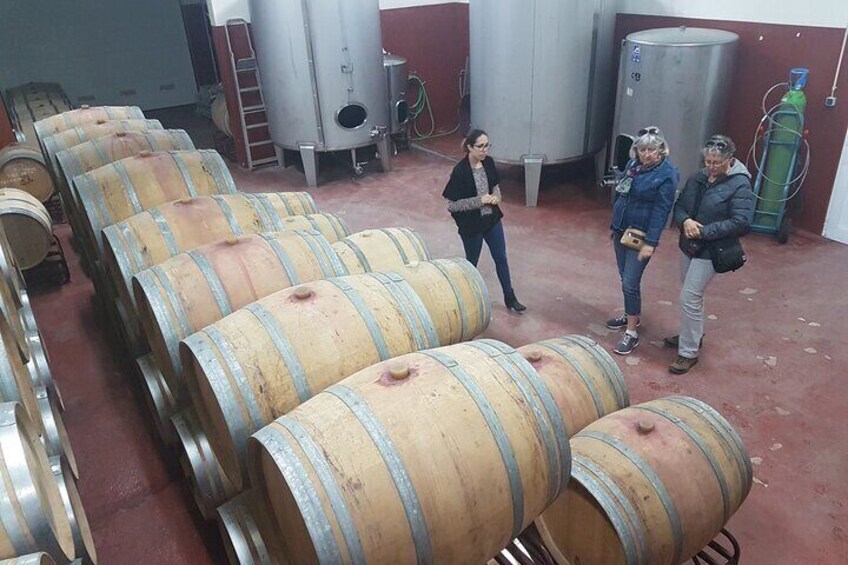 Private Algarve Wines Route