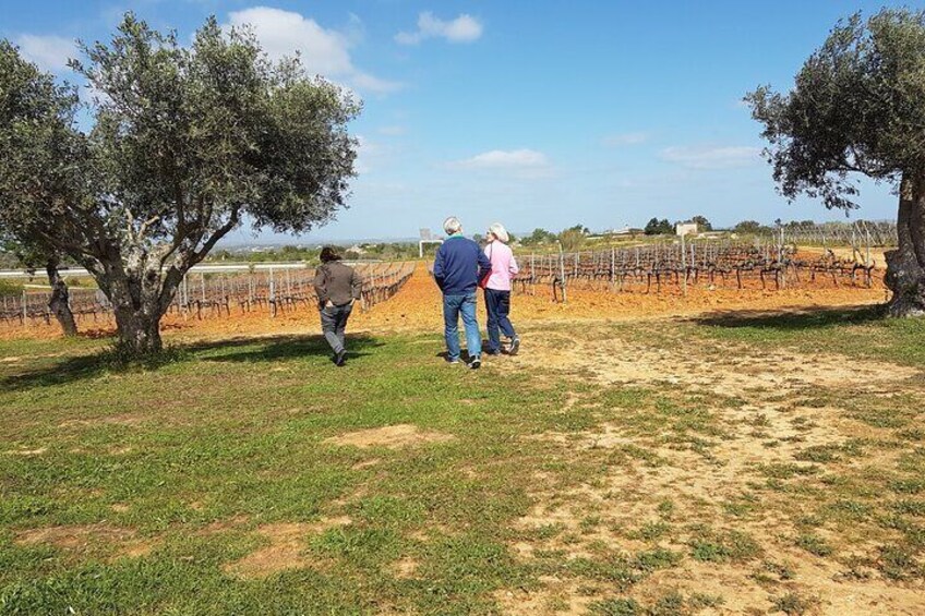 Private Algarve Wines Route