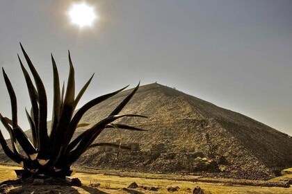 Tour to the Pyramids of Teotihuacán and Basilica of Guadalupe