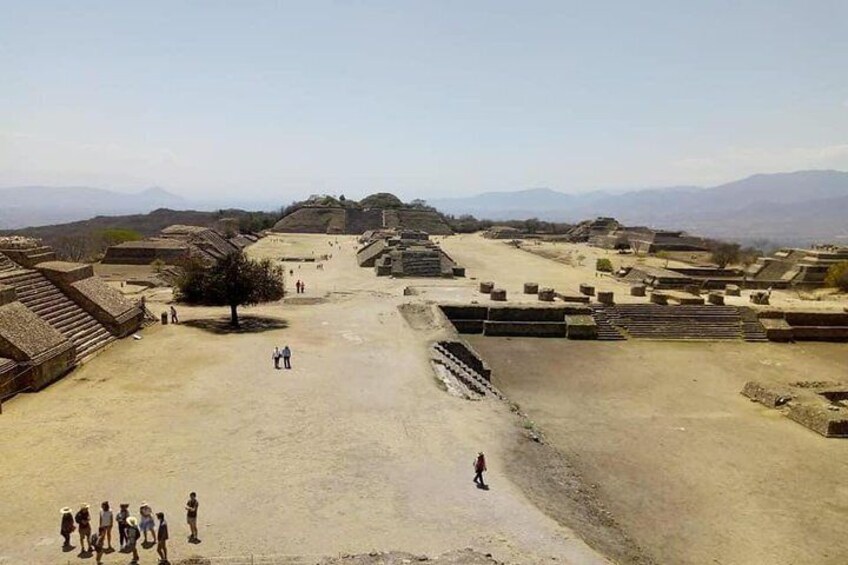 Only Monte Alban Tour