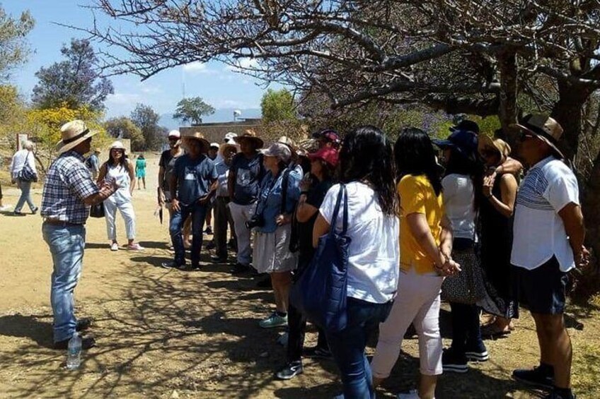 Montealban, Alebrijes, Cuilapam and Barro Negro Tour