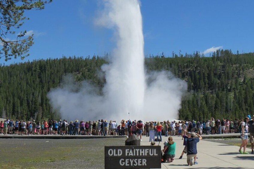 private tours of yellowstone from jackson hole