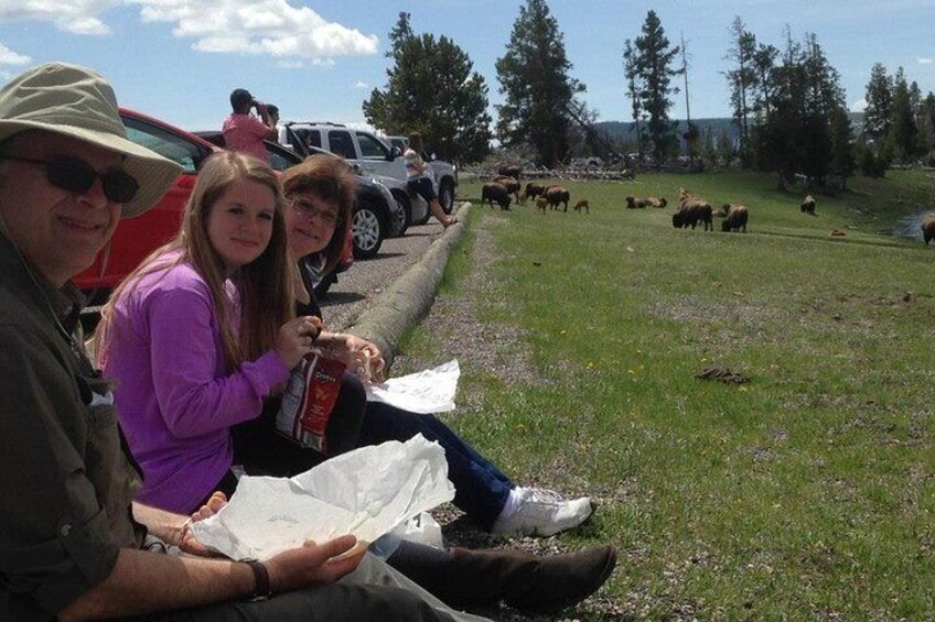 Yellowstone National Park - PRIVATE Full-Day Lower Loop Tour from Jackson Hole