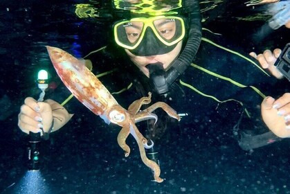 Snorkel Nocturno - Observación de pulpo y otras especies