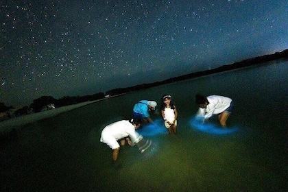 Bioluminescence Tour by Car at Holbox