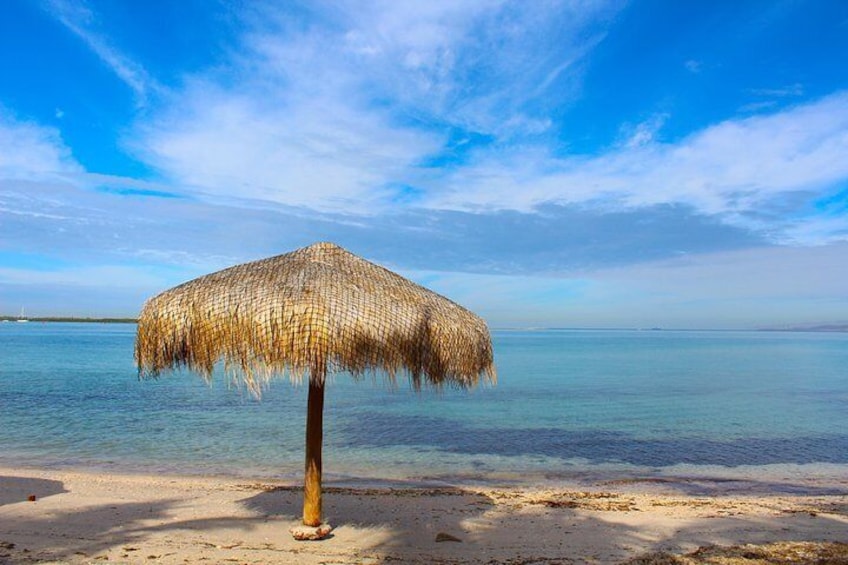 City Tour & Balandra Beach from La Paz