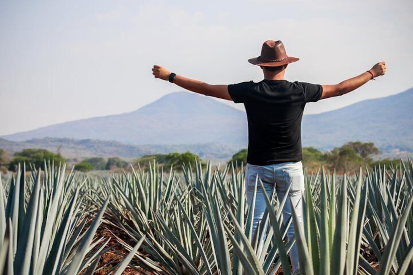 José Cuervo Tequila One Day Experience
