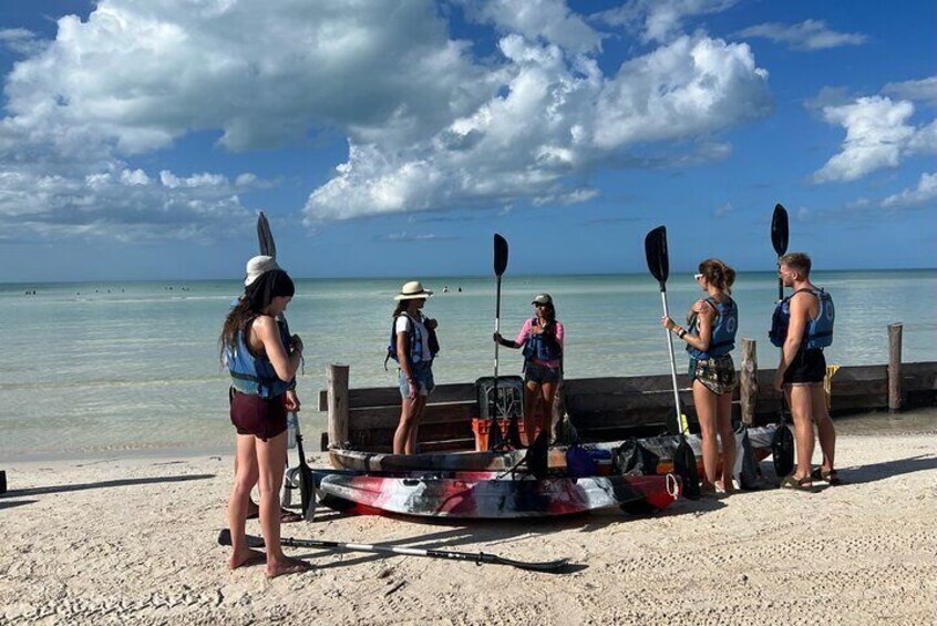 Kayak experience in the mangroves of Holbox Island