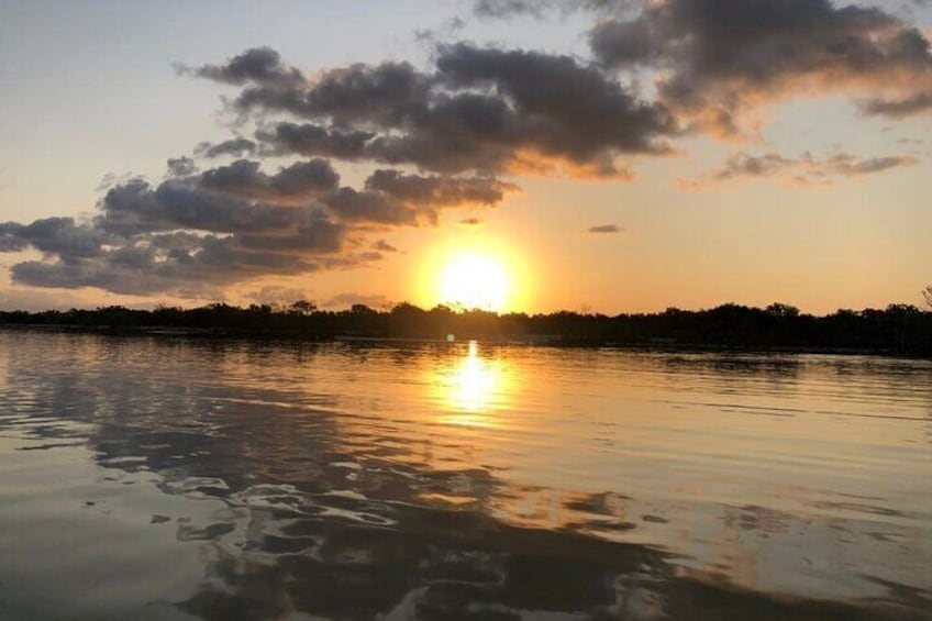 Kayak Experience in the Mangroves of Holbox Island (Sunrise or Sunset)