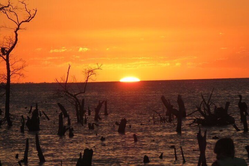 Kayaking in the Mangroves of Isla Holbox