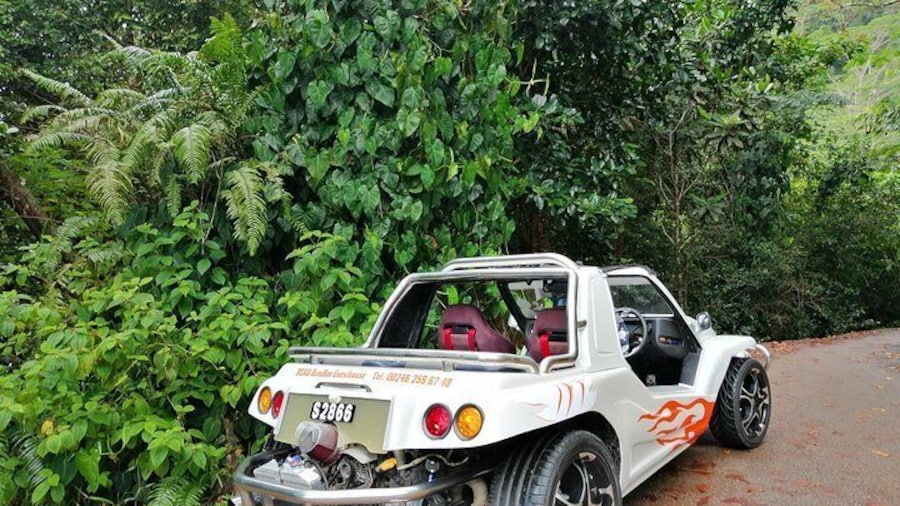 Island tour with the beach buggy