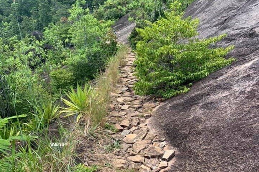 Relaxed hike to Anse Major | Mahé | Seychelles | Private Tour | Easy