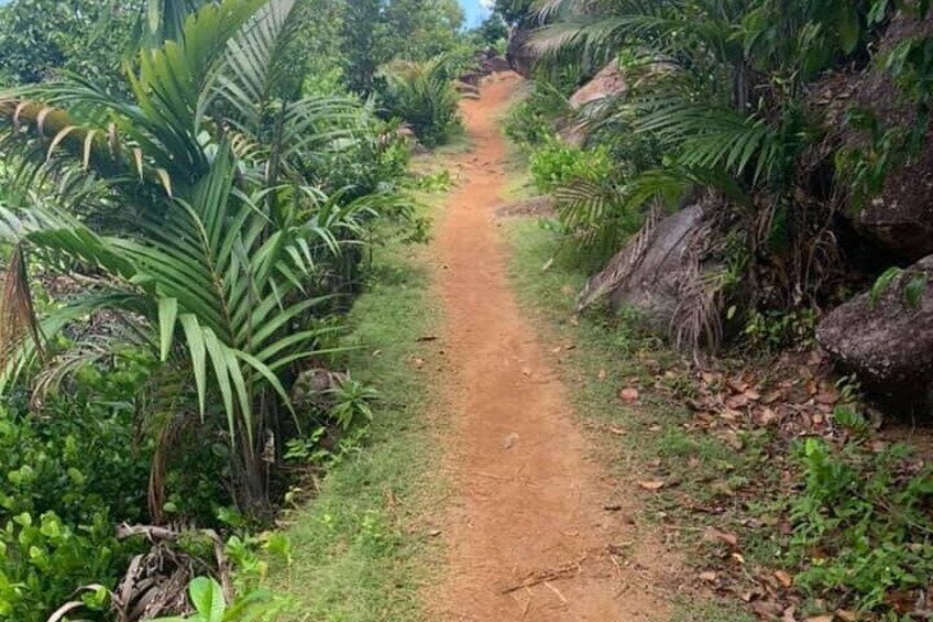 Relaxed hike to Anse Major | Mahé | Seychelles | Private Tour | Easy