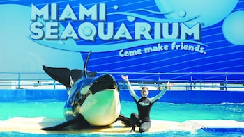 Miami Seaquarium with Transportation