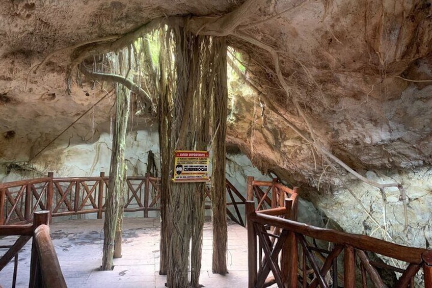 Cenote Adventure Tour