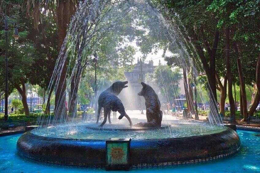 Source of Coyoacán