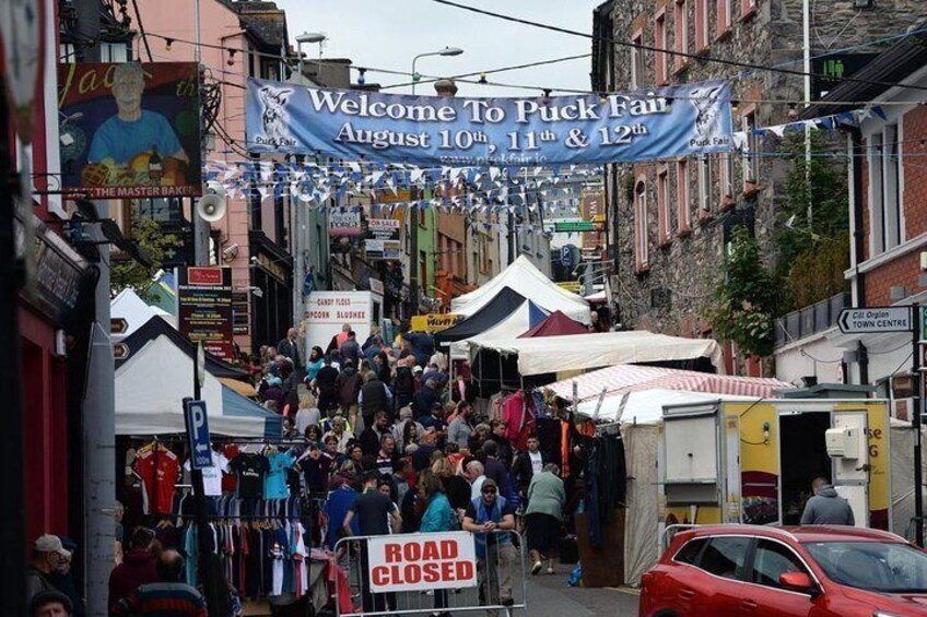 Ring of Kerry Day Tour from Cork: Including Killarney National Park