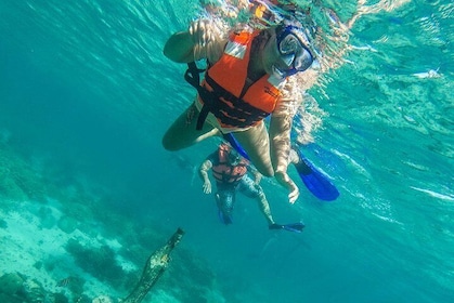 Tour de aventura de snorkel en Isla Mujeres