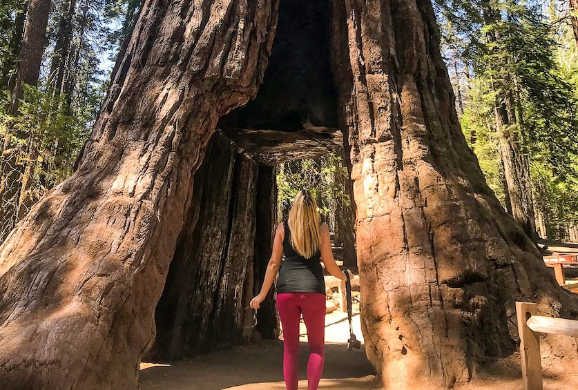 Yosemite Escape Camping Tour 3 Days